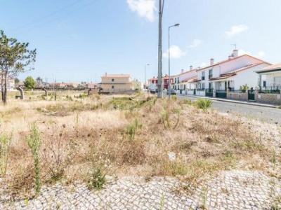 Acheter Terrain Marinha-grande r�gion LEIRIA