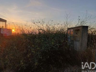 Acheter Terrain Sesimbra r�gion SETUBAL
