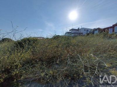 Annonce Vente Terrain Sesimbra
