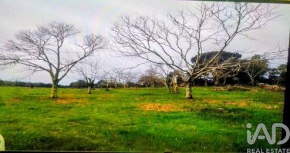 Vente Terrain Portalegre RIBEIRA-DE-NISA-E-CARREIRAS 12