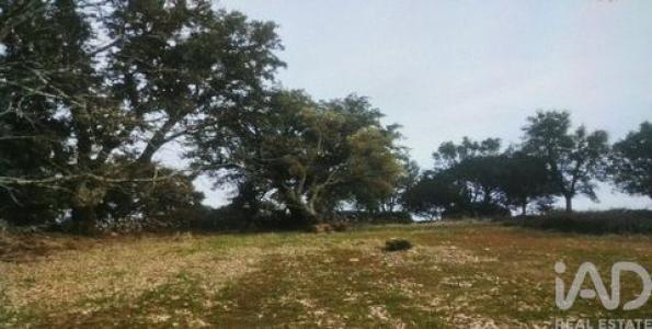 Acheter Terrain Portalegre r�gion PORTALEGRE