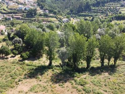 Acheter Maison Cabeceiras-de-basto r�gion BRAGA