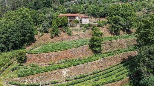 Acheter Maison 288 m2 Celorico-de-basto