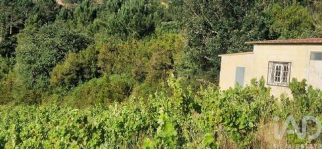 Annonce Vente Terrain Mafra