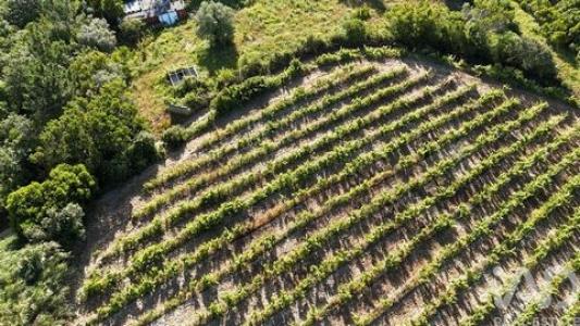 Acheter Terrain Mafra r�gion LISBOA