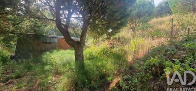 Annonce Vente Terrain Mafra