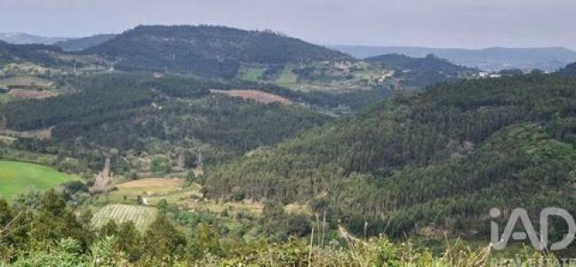 Annonce Vente Terrain Mafra