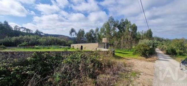 Acheter Terrain 8875 m2 Mafra