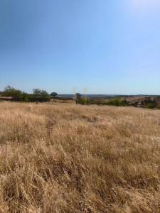 Annonce Vente Terrain Alcoutim
