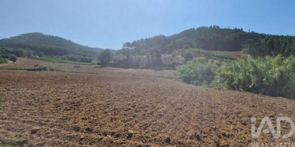 Annonce Vente Terrain Mafra