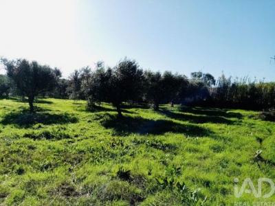 Annonce Vente Terrain Vidigueira