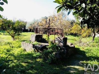 Acheter Terrain 8000 m2 Vidigueira