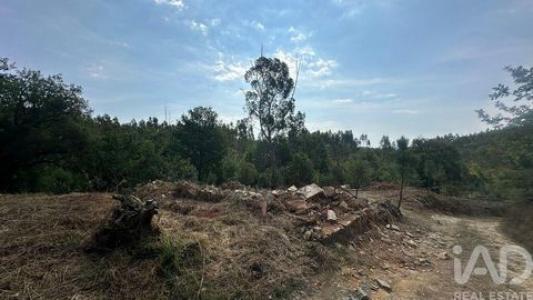 Annonce Vente Terrain Pedrogao-grande