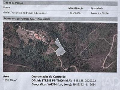 Acheter Terrain Pedrogao-grande r�gion LEIRIA