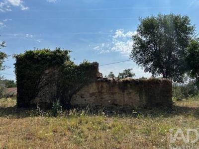 Vente Maison Pedrogao-grande GRAA�A 10 au Portugal