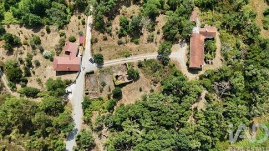 Annonce Vente Maison Pedrogao-grande