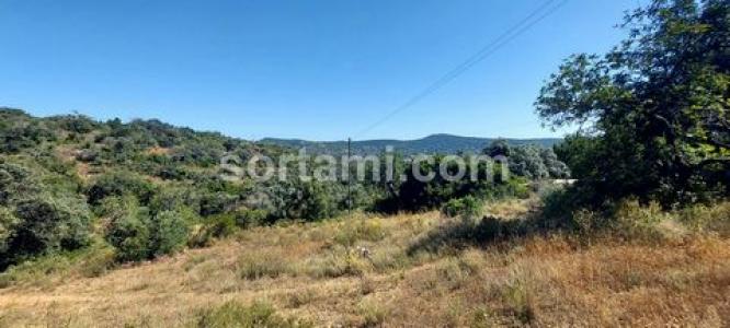 Annonce Vente Terrain Loule