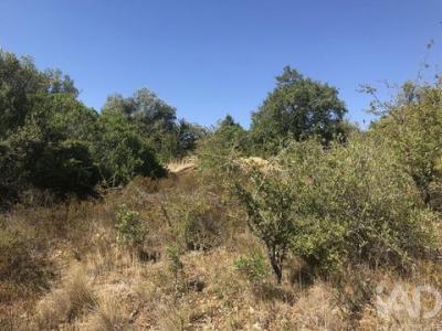 Annonce Vente Terrain Tomar
