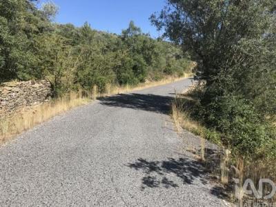 Acheter Terrain 23680 m2 Tomar