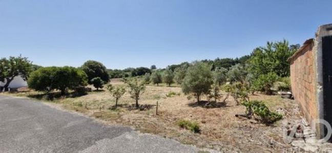 Acheter Terrain Azambuja r�gion LISBOA