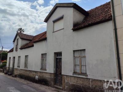 Vente Maison Tabua COVAS-E-VILA-NOVA-DE-OLIVEIRINHA 06
