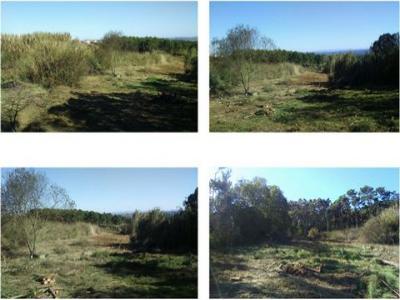 Vente Terrain Caldas-da-rainha  10 au Portugal
