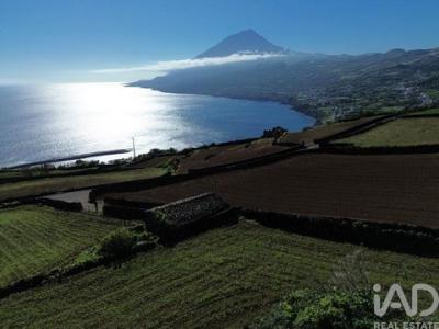 Annonce Vente Terrain Lajes-do-pico
