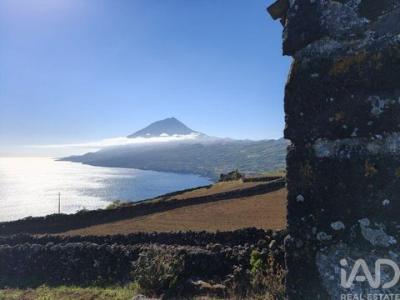 Acheter Terrain 4224 m2 Lajes-do-pico