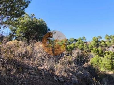 Acheter Terrain 2000 m2 Castro-marim
