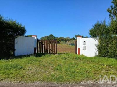 Vente Terrain Odemira VILA-NOVA-DE-MILFONTES 02