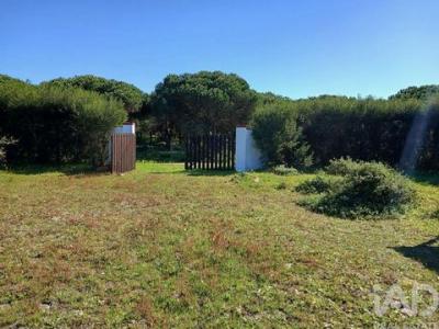 Acheter Terrain 10 m2 Odemira