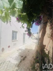 Annonce Vente Maison Loule