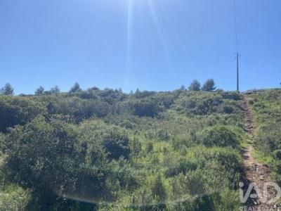 Annonce Vente Terrain Cascais