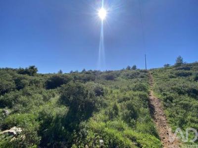 Acheter Terrain 8920 m2 Cascais