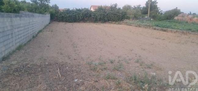Acheter Terrain 135 m2 Vagos