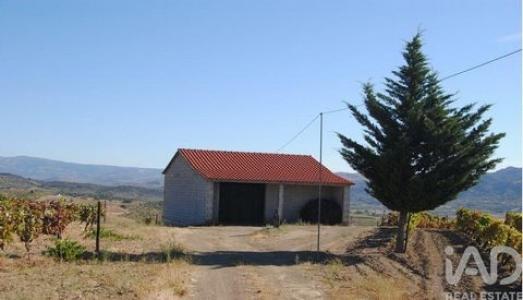 Vente Terrain Vila-flor VILA-FLOR-E-NABO 04
