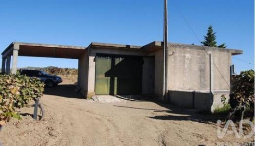 Acheter Terrain Vila-flor r�gion BRAGANCA