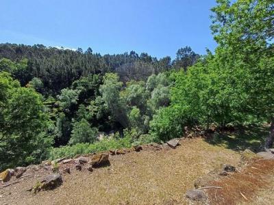 Vente Maison Cabeceiras-de-basto  03 au Portugal