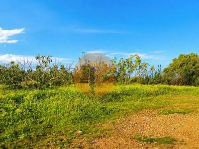 Acheter Terrain 2411 m2 Tavira