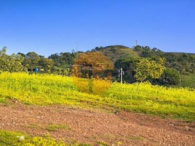 Acheter Terrain Tavira r�gion FARO