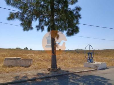 Acheter Terrain 2500 m2 Alcoutim