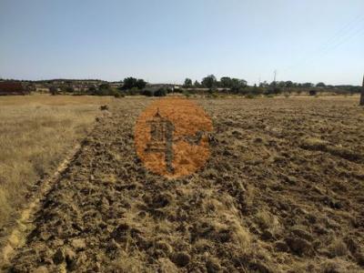 Acheter Terrain 11520 m2 Alcoutim