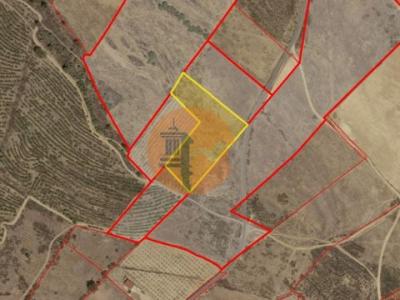 Vente Terrain Alcoutim MARTIM-LONGO 08 au Portugal