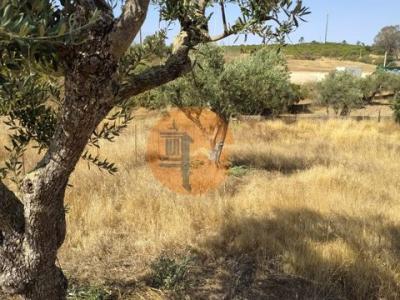 Acheter Terrain Alcoutim r�gion FARO