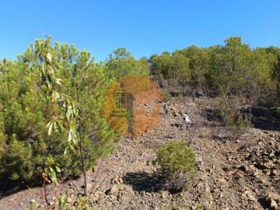 Acheter Terrain Alcoutim r�gion FARO