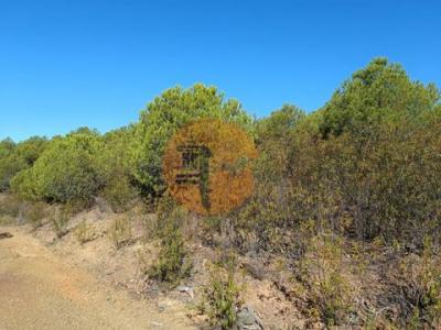 Vente Terrain Alcoutim VAQUEIROS 08 au Portugal