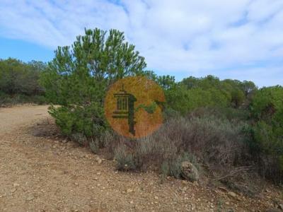 Annonce Vente Terrain Alcoutim