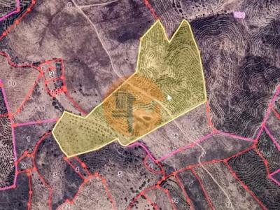 Vente Terrain Alcoutim VAQUEIROS 08 au Portugal