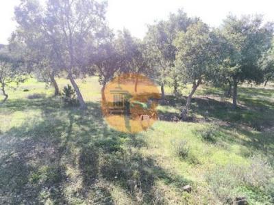 Acheter Terrain Castro-marim r�gion FARO