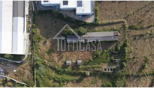 Acheter Local industriel 1150 m2 Mafra